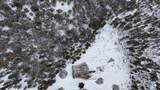 Lot 193 Deer Mountain - Photo 5