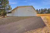 1810 Skyline Ranch Rd - Photo 9