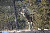  Hawkright Rd - Photo 37