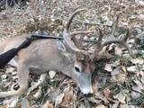 10881 Other - Photo 28