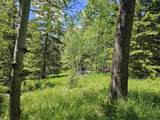 TBD Terry Peak Summit Rd - Photo 1