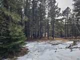 TBD Terry Peak Summit Rd - Photo 22