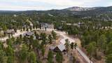 21244 Rubys Way - Photo 40