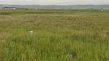 TBD Constitution Blvd - Photo 1