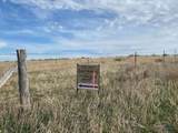 Lot 5 TBD Rubicon Rd - Photo 4