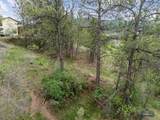 1401 Catholican Ave - Photo 5