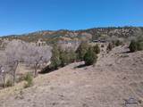 TBD 4TH - Photo 13