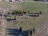 4137 Peaceful Pines Rd - Photo 12