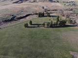 4137 Peaceful Pines Rd - Photo 3