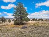 Lot 5 Lake Hills Rd - Photo 3