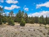 Lot 5 Lake Hills Rd - Photo 5