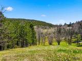 Lot 26A Elk View Loop - Photo 3