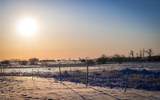 12981 Other - Photo 28
