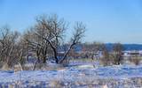 12981 Other - Photo 29