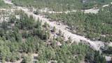 TR Lot 1 Argyle Rd - Photo 6