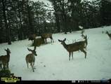 TR Lot 4 Argyle Rd - Photo 11