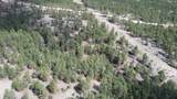 TR Lot 4 Argyle Rd - Photo 6