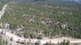 TR Lot 4 Argyle Rd - Photo 8