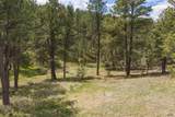 TBD Frontier Loop - Photo 12