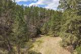 13492 Frontier Loop - Photo 13