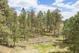 13492 Frontier Loop - Photo 15