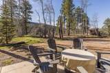 21171 Turkey Trail - Photo 4