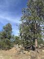 12127 Chickadee Ln - Photo 16
