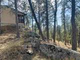 12127 Chickadee Ln - Photo 9