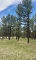 Tract 1 TBD Hwy 40 - Photo 10