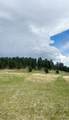 Tract 1 TBD Hwy 40 - Photo 11