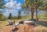 24611 White Tail Rdg Rd - Photo 20