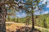 24611 White Tail Rdg Rd - Photo 21