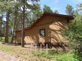 12772 Black Forest Dr - Photo 11