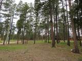 12772 Black Forest Dr - Photo 13