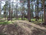 12772 Black Forest Dr - Photo 14