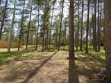 12772 Black Forest Dr - Photo 15
