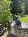 7450 Dark Canyon Rd - Photo 13