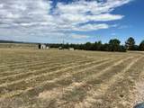 27932 Hwy 385 - Photo 17