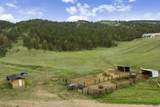13599 Tatanka Spirit Rd - Photo 36