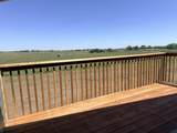 4234 Lodi Ln - Photo 3