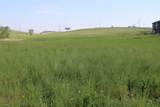 603 Timmons Blvd - Photo 3