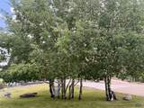206 Tower Ridge Dr - Photo 31