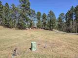 6130 Timberline Rd W - Photo 11