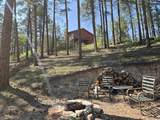 6130 Timberline Rd W - Photo 37