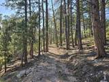 6130 Timberline Rd W - Photo 39