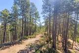 6130 Timberline Rd W - Photo 4