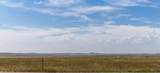 15810 Hwy 44 - Photo 38