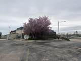 203 Boulevard St - Photo 5