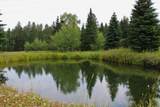 22099 Rocky Johnson Rd - Photo 29