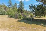 10311 Pine Canyon Rd - Photo 10